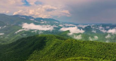 Yoğun yaz örtüleri olan dağ manzarası. Şiddetli yağmur üstüne orman doğası