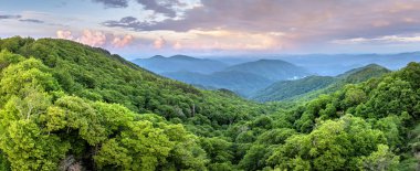 Smokey Dağları 'nda parlak günbatımı yaz ormanları. Kuzey Carolina 'daki Appalachian dağlarında yaz mevsiminde taze yeşil orman ağaçları var. ABD doğasının güzelliği.