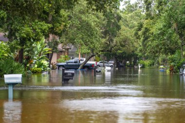 Debby Kasırgası şehir caddesini Florida yerleşim bölgesinde suyun altında kalmış araçlarla doldurdu. Doğal afetin sonuçları..