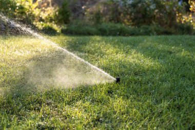 Sulama sulama fıskiyesi kurak mevsimde arka bahçedeki çimlerin üzerine su yayarak yeşil ve taze kalmasını sağlar..