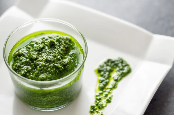 Salsa al pesto su un piatto bianco — Foto Stock