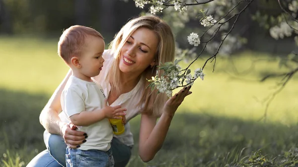 Mamá muestra al niño una rama de un árbol en flor — Foto de Stock