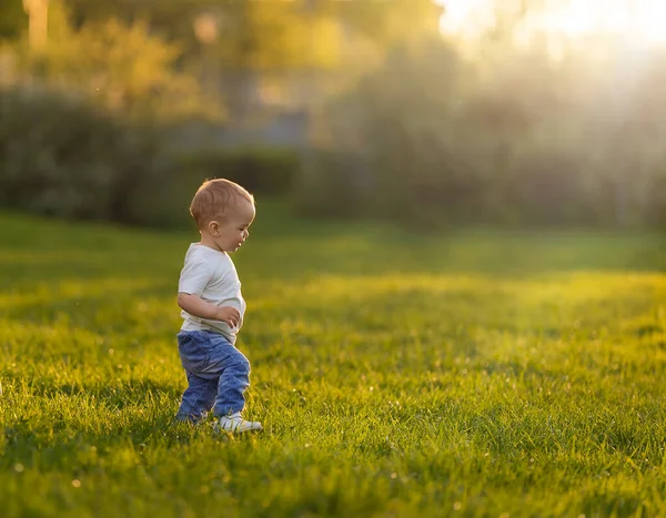 Mały chłopiec spacerujący po trawie o zachodzie słońca. — Zdjęcie stockowe