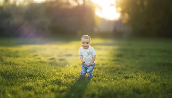 Mały chłopiec stoi na polanie o zachodzie słońca i patrzy w kamerę. — Zdjęcie stockowe
