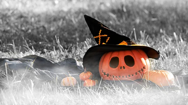 Pompoenkop Jack-o-lantaarn close-up en oranje herfstpompoenen, stilleven in de natuur in het zonlicht, op zwart-witte achtergrond voor Halloween — Stockfoto