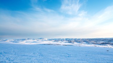 Tundra içinde bahar. Kutup bölgesi. Murmansk bölgesi