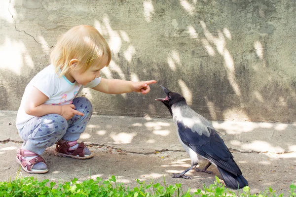 Menina brincando com um corvo com capuz — Fotografia de Stock