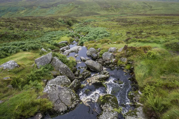 아일랜드의 언덕을 스트림. 위 클로 공원 — 스톡 사진