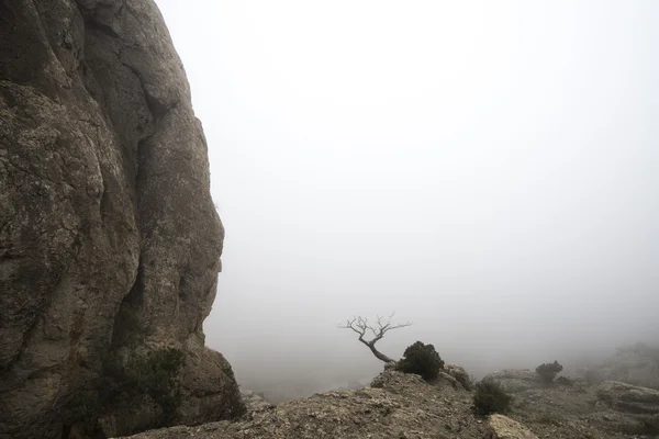 Misztikus, ködös hegyvidéki táj sziklás csúcs — Stock Fotó