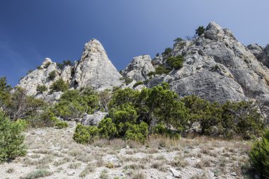kayalık dağ manzarası. Çalılıkları ardıç, çam ağaçları