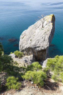 Su kayalarda. Deniz okyanus manzara