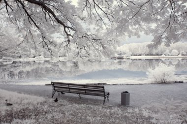 Kızılötesi manzara. Ağaç ve su