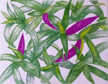 Tropikal Bahçe Yeşil ve mor beyaz kağıt üzerine çizim kalem bırakır