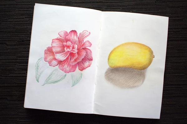 Carnet de croquis avec dessin à la rose et à la mangue — Photo