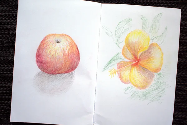 Sketchbook spread with apple and hibiscus drawing
