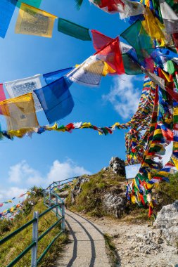 Dalai Hills Buddhist Temple with Tibetan Prayer Flags and Scenic Mountain View