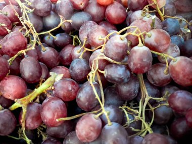 Olgun siyah üzümlerin yüksek kaliteli görüntüsü, gıda, sağlık ve organik ürün pazarlaması için uygun..