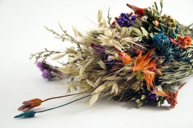 Beyaz arka planda bir buket çiçek.