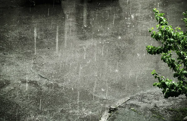 Rain on the street — Stock Photo, Image