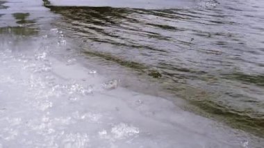 Splash buz kenarında dalgalar