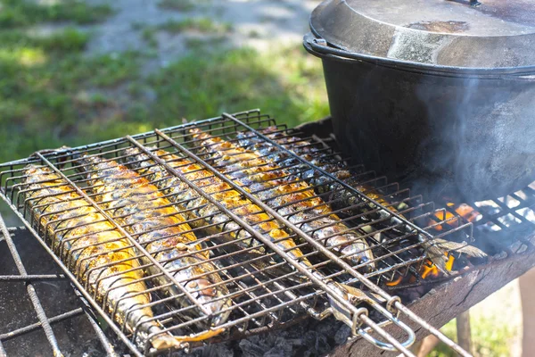 Pesce alla griglia all'aperto — Foto Stock