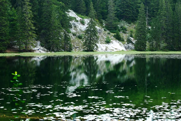 Mountain lake with reflections — Stock Photo, Image
