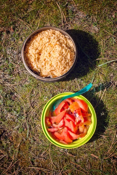 Pranzo in campeggio sull'erba — Foto Stock
