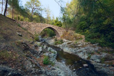 Ortaçağ Venedik Köprüsü 