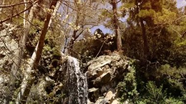 Çiçekli ağaçlar arasında dağlardaki küçük şelale