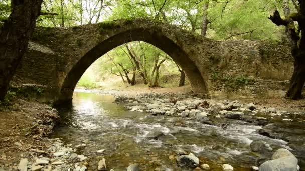 Горная река течет под средневековым венецианским мостом — стоковое видео