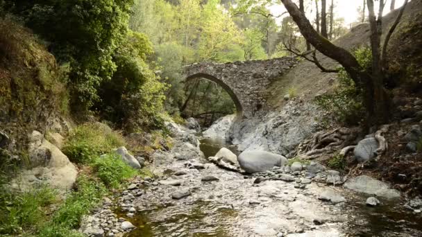 Μικρό ορεινό ποτάμι ρέει κάτω από το μεσαιωνικό Ενετικό γεφύρι — Αρχείο Βίντεο