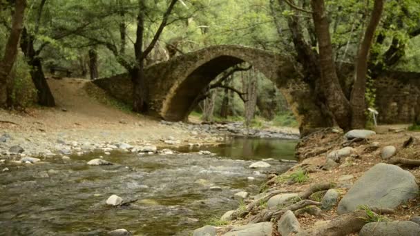 Hegyi folyó folyik a középkori velencei híd alatt — Stock videók