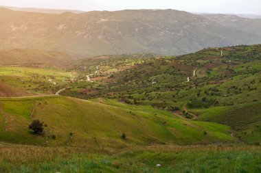 Yeşil tepeler ve yol 