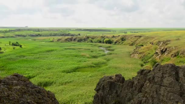 Río pantanoso con costas rocosas — Vídeo de stock
