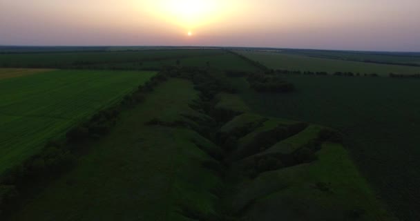 Flying over the countryside. Aerial view. — Stock Video