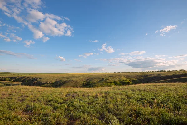 Evening in a prairie — Stock Photo, Image