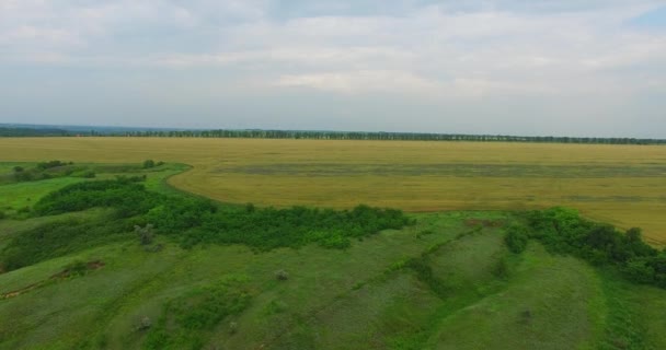 Volando sobre el campo. Vista aérea — Vídeos de Stock