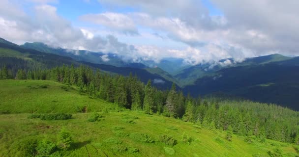Flying over the canyon in the Carpathian mountains. — Stock Video