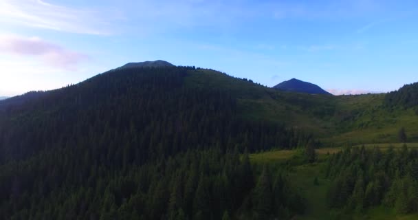 Aerial view of panorama Carpathian mountains in beautiful evening. — Stock Video