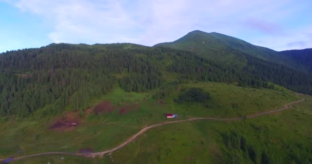 Flygande över betesmark och mountain road i Karpaterna — Stockvideo