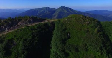Karpat Dağları'nda Marmarosy ridge güneşli sabah hava görünümünü. Ukrayna ve Romanya arasındaki sınır üzerinde uçan ridge kaplı göknar ormanı üzerinde. Bir dağ yolda duran yürüyüşçü.