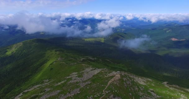 Vliegende naast de wolken — Stockvideo