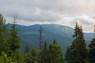 Marmarosy ridge, Karpat Dağları