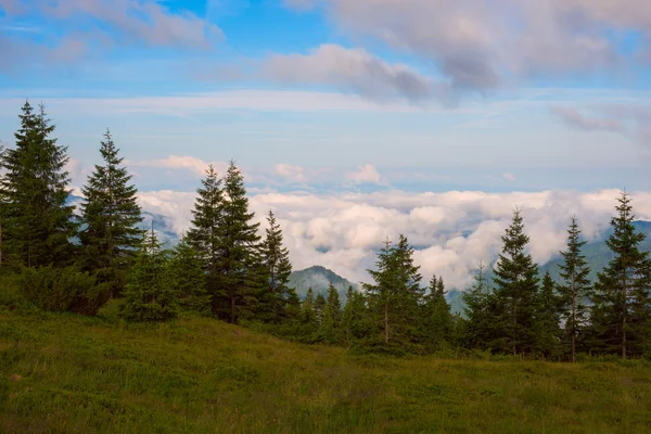 구름 위의 산 풀밭 — 스톡 사진