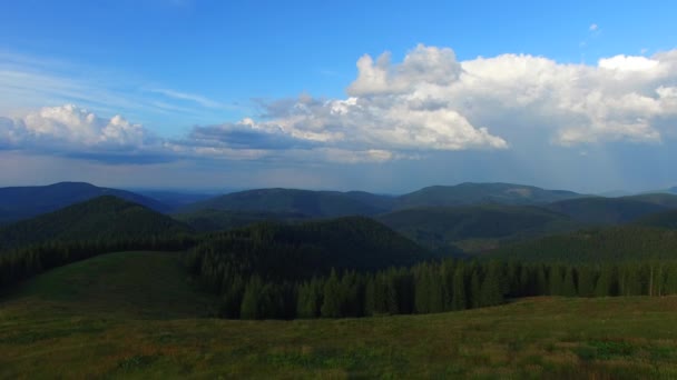 Flying over the mountain meadow beautiful evening — Stock Video