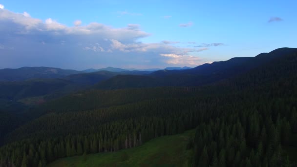 Voando sobre as montanhas, coberto com floresta de abeto, durante o pôr do sol — Vídeo de Stock