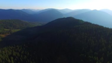 Panorama dağlarının havadan görünümü güneşli akşam saatlerinde çam ormanı ile kaplı.