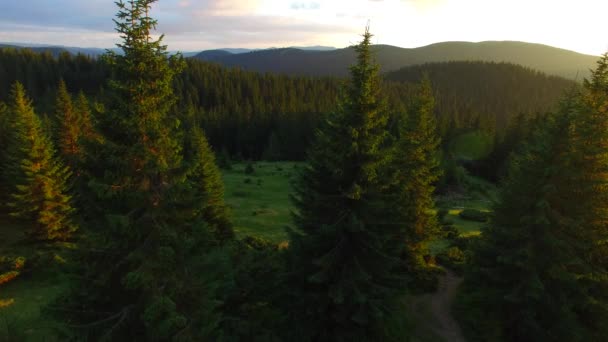 A légi felvétel a naplemente, a hegyi réten — Stock videók