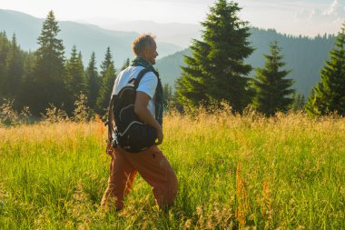 Alpin çayır üzerinde sakallı adam