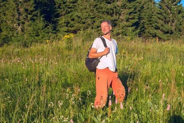 Lächelnder bärtiger Mann auf der Alm — Stockfoto